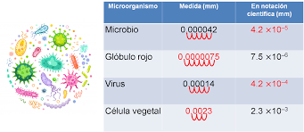 Notación científica II - Nueva Escuela Mexicana
