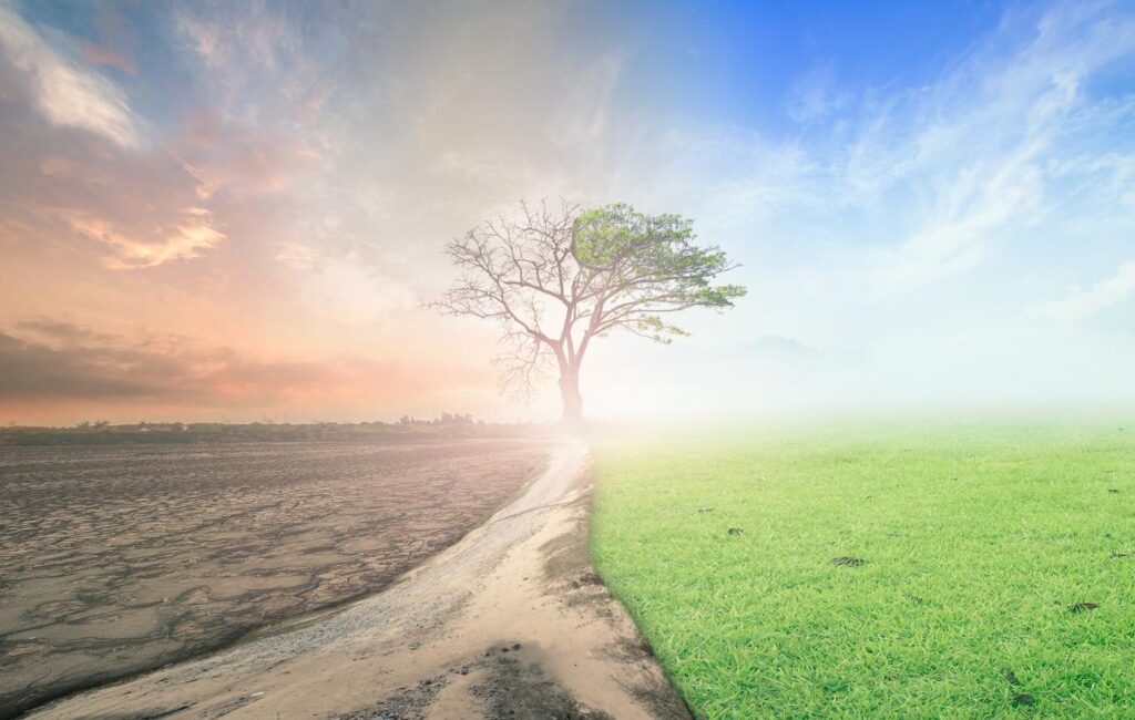 Cómo impactan las actividades humanas en el medio ambiente - Consecuencias